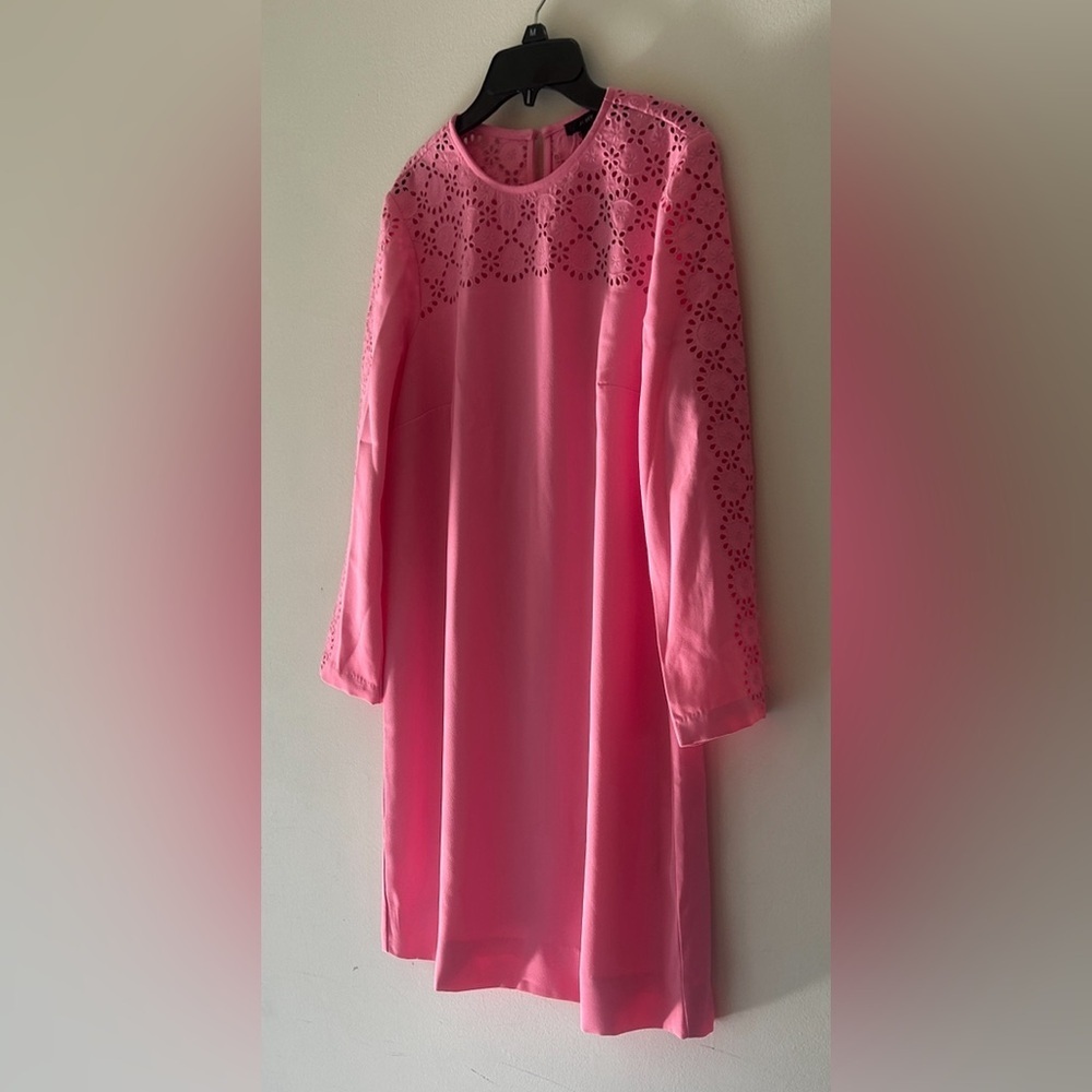 J . Crew Pink Long Sleeve Dress with Lace Detail - Picture 4 of 15